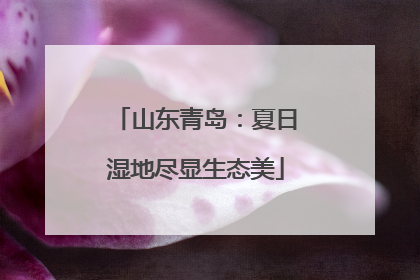 山东青岛：夏日湿地尽显生态美