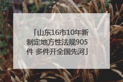 山东16市10年新制定地方性法规905件 多件开全国先河