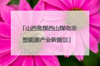 山西焦煤西山煤电重塑能源产业新图景