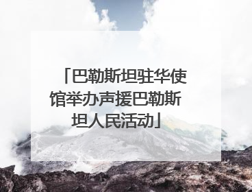 巴勒斯坦驻华使馆举办声援巴勒斯坦人民活动