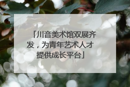 川音美术馆双展齐发，为青年艺术人才提供成长平台