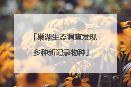 巢湖生态调查发现多种新记录物种