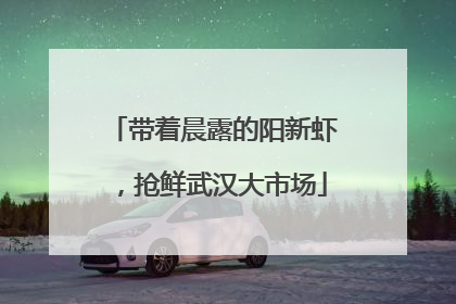 带着晨露的阳新虾，抢鲜武汉大市场