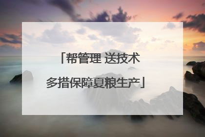 帮管理 送技术 多措保障夏粮生产