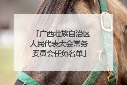 广西壮族自治区人民代表大会常务委员会任免名单