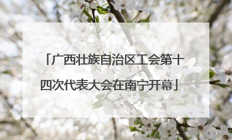 广西壮族自治区工会第十四次代表大会在南宁开幕