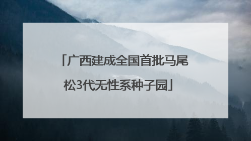 广西建成全国首批马尾松3代无性系种子园