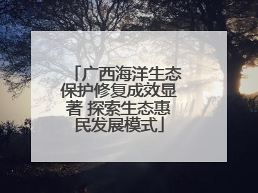 广西海洋生态保护修复成效显著 探索生态惠民发展模式