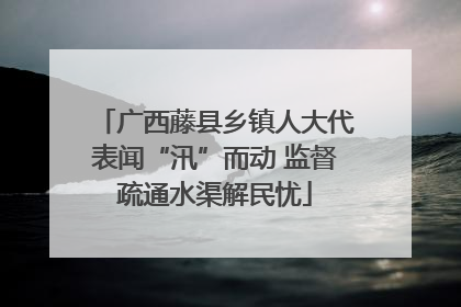 广西藤县乡镇人大代表闻“汛”而动 监督疏通水渠解民忧