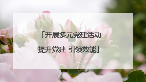 开展多元党建活动 提升党建 引领效能