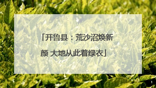 开鲁县：荒沙沼焕新颜 大地从此着绿衣