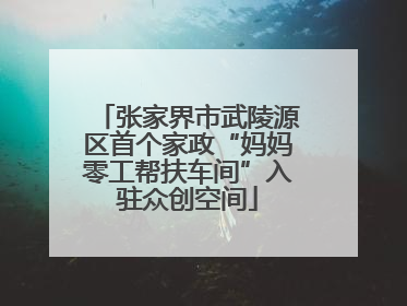 张家界市武陵源区首个家政“妈妈零工帮扶车间”入驻众创空间