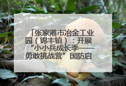 张家港市冶金工业园（锦丰镇）：开展“小小兵成长季——勇敢挑战营”国防启蒙教育活动