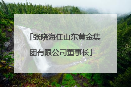 张晓海任山东黄金集团有限公司董事长