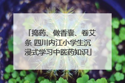 捣药、做香囊、卷艾条 四川内江小学生沉浸式学习中医药知识