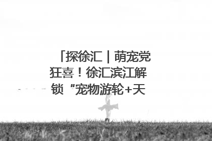 探徐汇｜萌宠党狂喜！徐汇滨江解锁“宠物游轮+天台乐园”双玩法