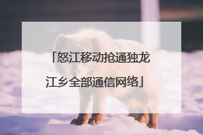 怒江移动抢通独龙江乡全部通信网络