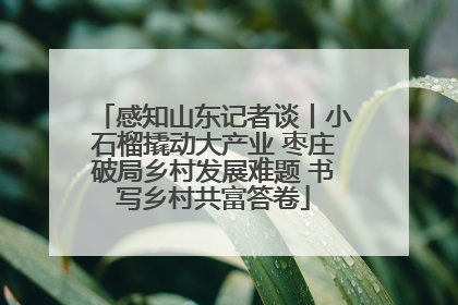 感知山东记者谈丨小石榴撬动大产业 枣庄破局乡村发展难题 书写乡村共富答卷