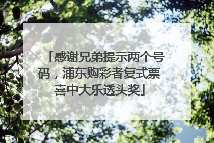 感谢兄弟提示两个号码，浦东购彩者复式票喜中大乐透头奖