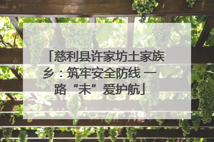 慈利县许家坊土家族乡：筑牢安全防线 一路“未”爱护航