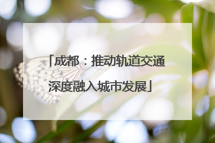 成都：推动轨道交通深度融入城市发展