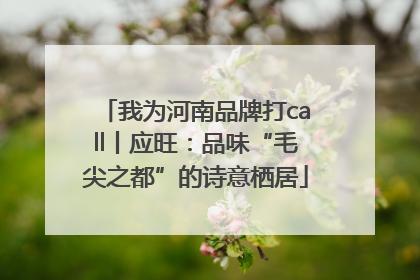 我为河南品牌打call丨应旺：品味“毛尖之都”的诗意栖居