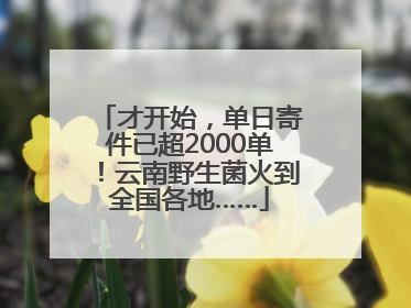 才开始，单日寄件已超2000单！云南野生菌火到全国各地……
