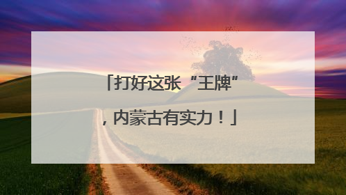 打好这张“王牌”，内蒙古有实力！