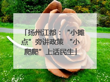 扬州江都：“小摊点”旁讲政策 “小爬爬”上话民生