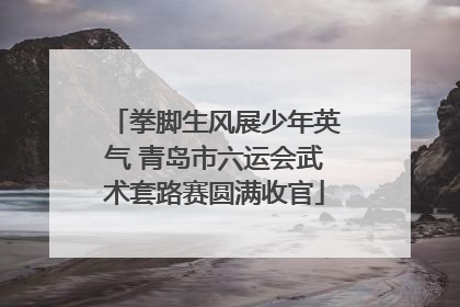 拳脚生风展少年英气 青岛市六运会武术套路赛圆满收官