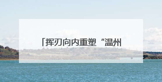 挥刃向内重塑“温州模式” 老工业基地如何从“新”出发？