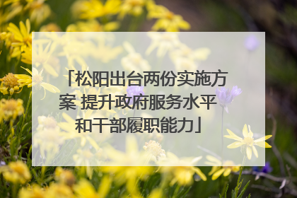 松阳出台两份实施方案 提升政府服务水平和干部履职能力