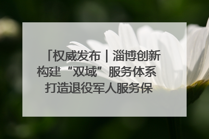 权威发布｜淄博创新构建“双域”服务体系 打造退役军人服务保障“淄博样板”