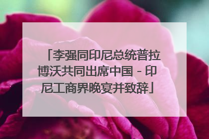李强同印尼总统普拉博沃共同出席中国－印尼工商界晚宴并致辞