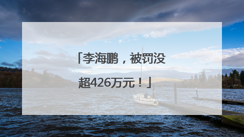 李海鹏，被罚没超426万元！