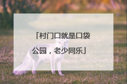 村门口就是口袋公园，老少同乐