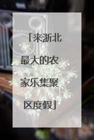 来浙北最大的农家乐集聚区度假