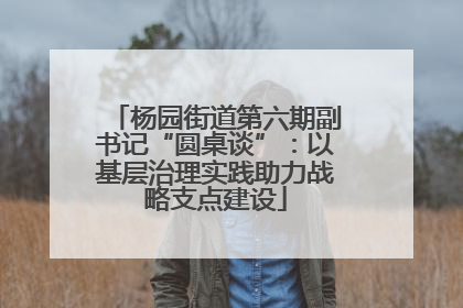杨园街道第六期副书记“圆桌谈”：以基层治理实践助力战略支点建设