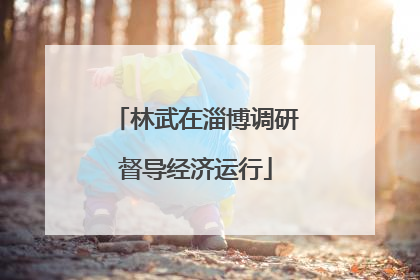 林武在淄博调研督导经济运行