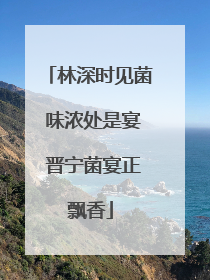林深时见菌 味浓处是宴 晋宁菌宴正飘香