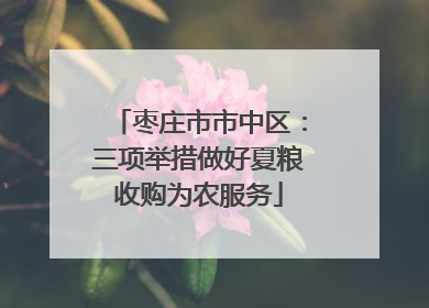 枣庄市市中区:三项举措做好夏粮收购为农服务