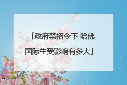 政府禁招令下 哈佛国际生受影响有多大
