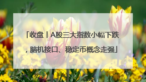 收盘丨A股三大指数小幅下跌，脑机接口、稳定币概念走强