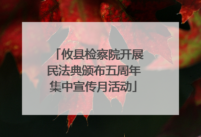 攸县检察院开展民法典颁布五周年集中宣传月活动