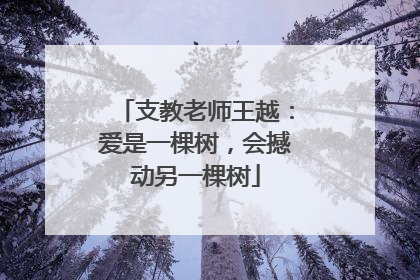支教老师王越：爱是一棵树，会撼动另一棵树