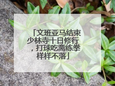 文班亚马结束少林寺十日修行，打球吃斋练拳样样不落