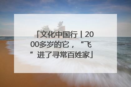文化中国行丨2000多岁的它，“飞”进了寻常百姓家