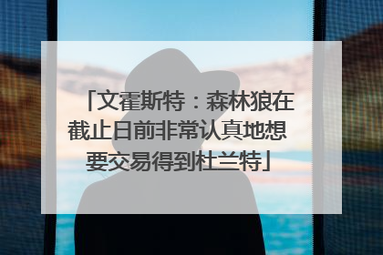 文霍斯特：森林狼在截止日前非常认真地想要交易得到杜兰特