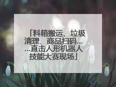 料箱搬运、垃圾清理、商品扫码……直击人形机器人技能大赛现场