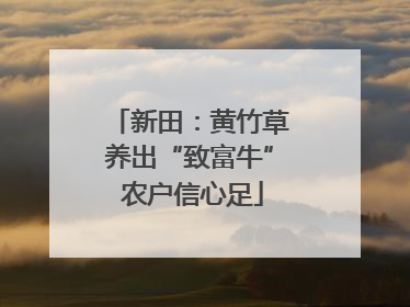 新田：黄竹草养出“致富牛” 农户信心足
